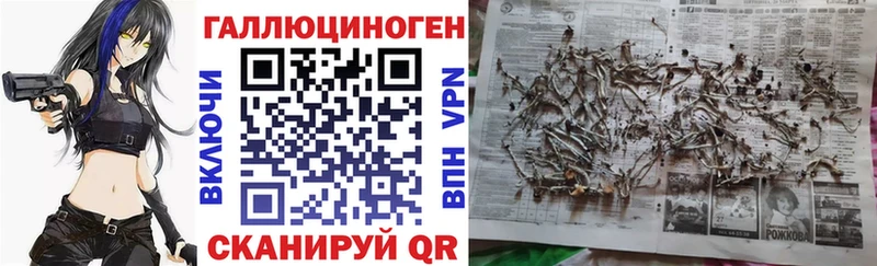 это официальный сайт  как найти закладки  Армавир  Псилоцибиновые грибы Cubensis 